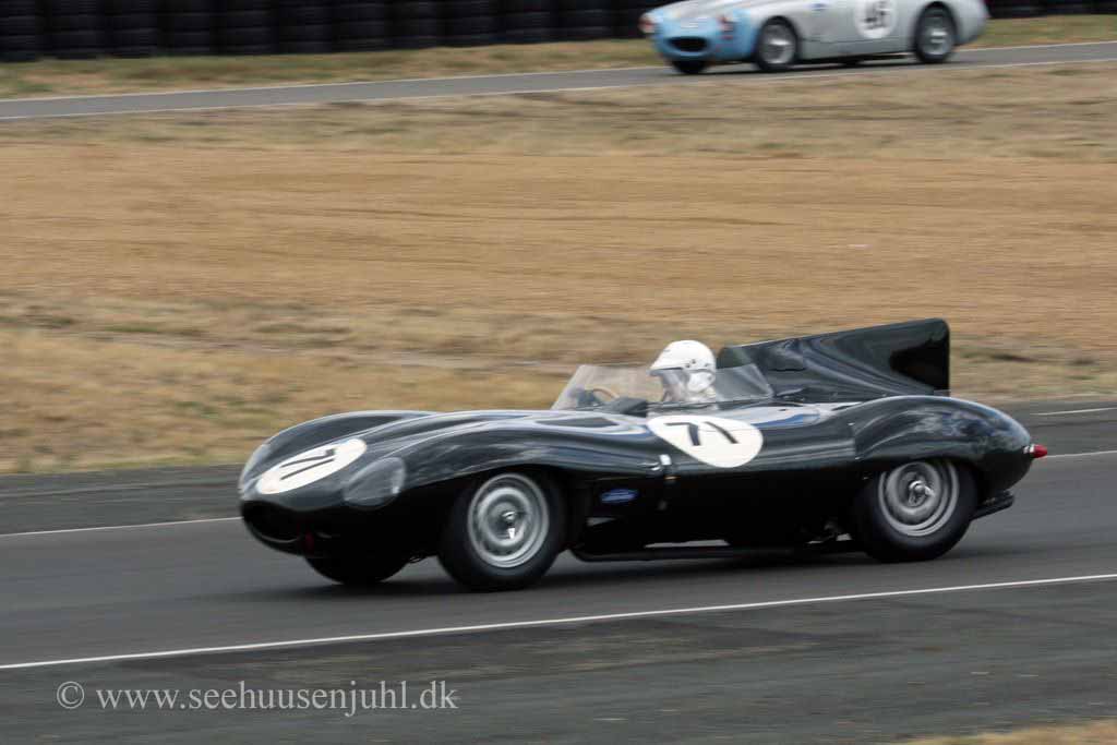 Jaguar D-type (1955)Gary Pearson